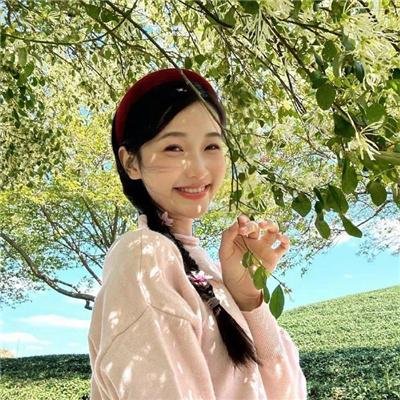 诚实国度的爱丽丝